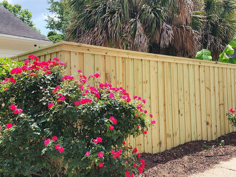 Wood cap and trim privacy fence behind blooming roses in Columbia, SC