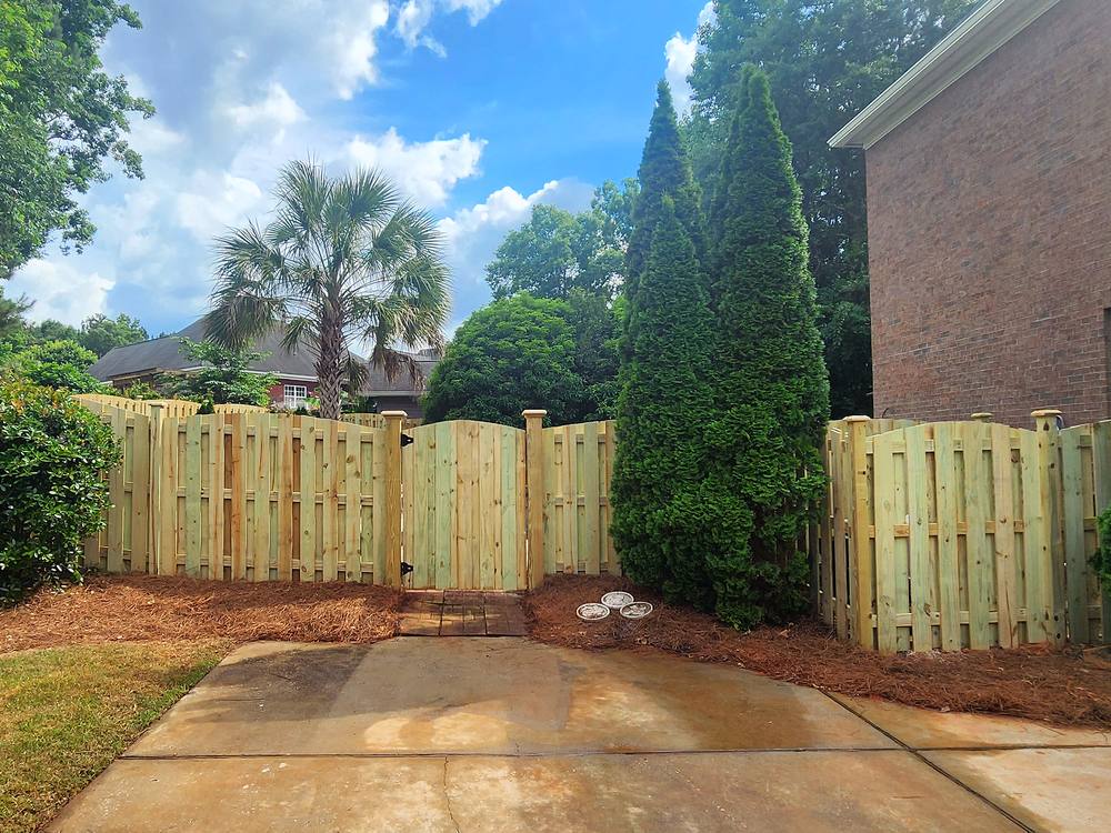 Wood shadowbox fence and gate framed by tall arborvitae in the Midlands of South Carolina